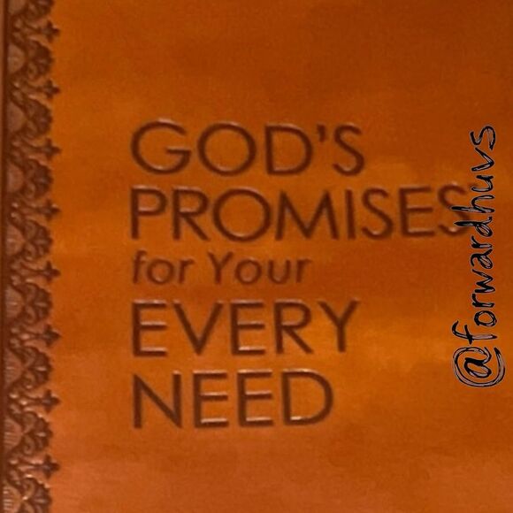God's Promises for Your Every Need NKJV: A Treasury of Scripture for Life - Picture 9 of 10